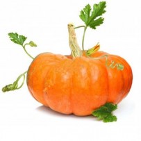 Yellow pumpkin
