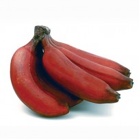 Banana (RED)