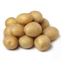 Baby Potato