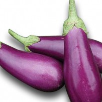 Brinjal Ujala