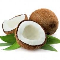 Coconut