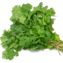 Coriander
