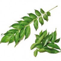Curryleaves