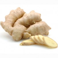 Ginger