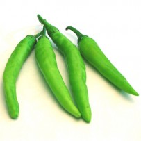 Greenchilli