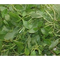 Tropical Amaranth [சிறுகீரை]