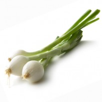 Spring onion